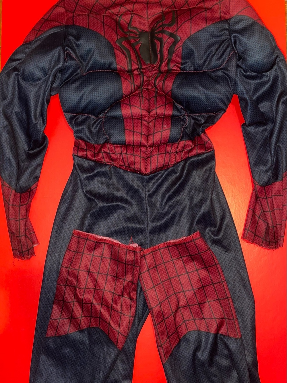 Spider Man Costume Only